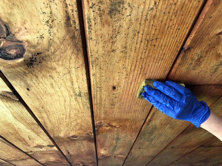 How To Remove Green Mold From Wood?