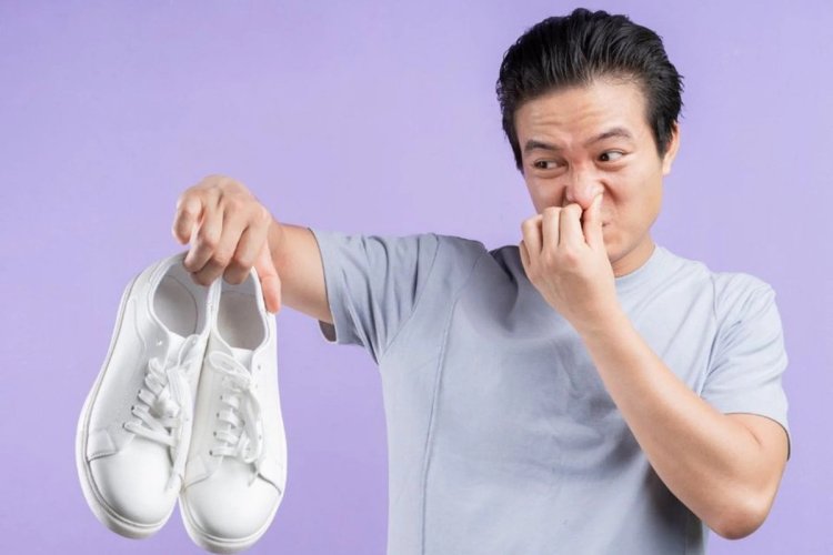 How To Remove Cat Urine Odor From Shoes?