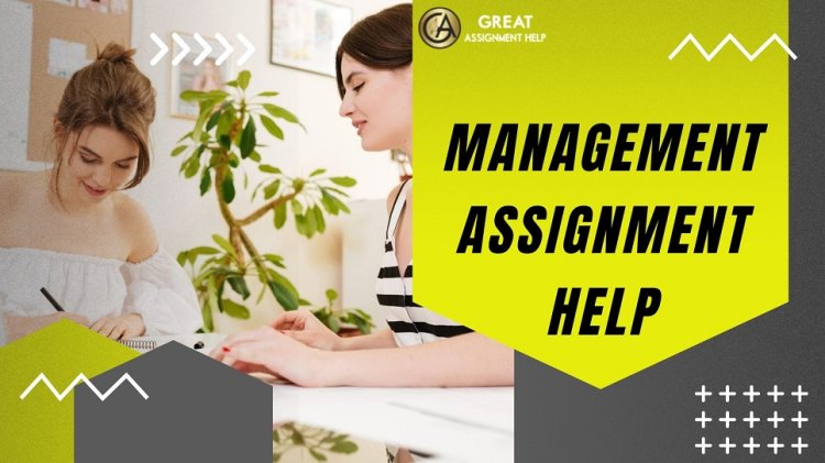 Management Assignment Help: A Roadmap To Success For Students