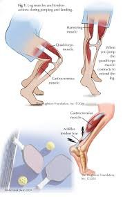 Muscle Tension Warning: When to Seek Help